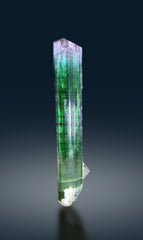 Bicolor Tourmaline Crystal on Quartz from Paprok Afghanistan - 103 grams