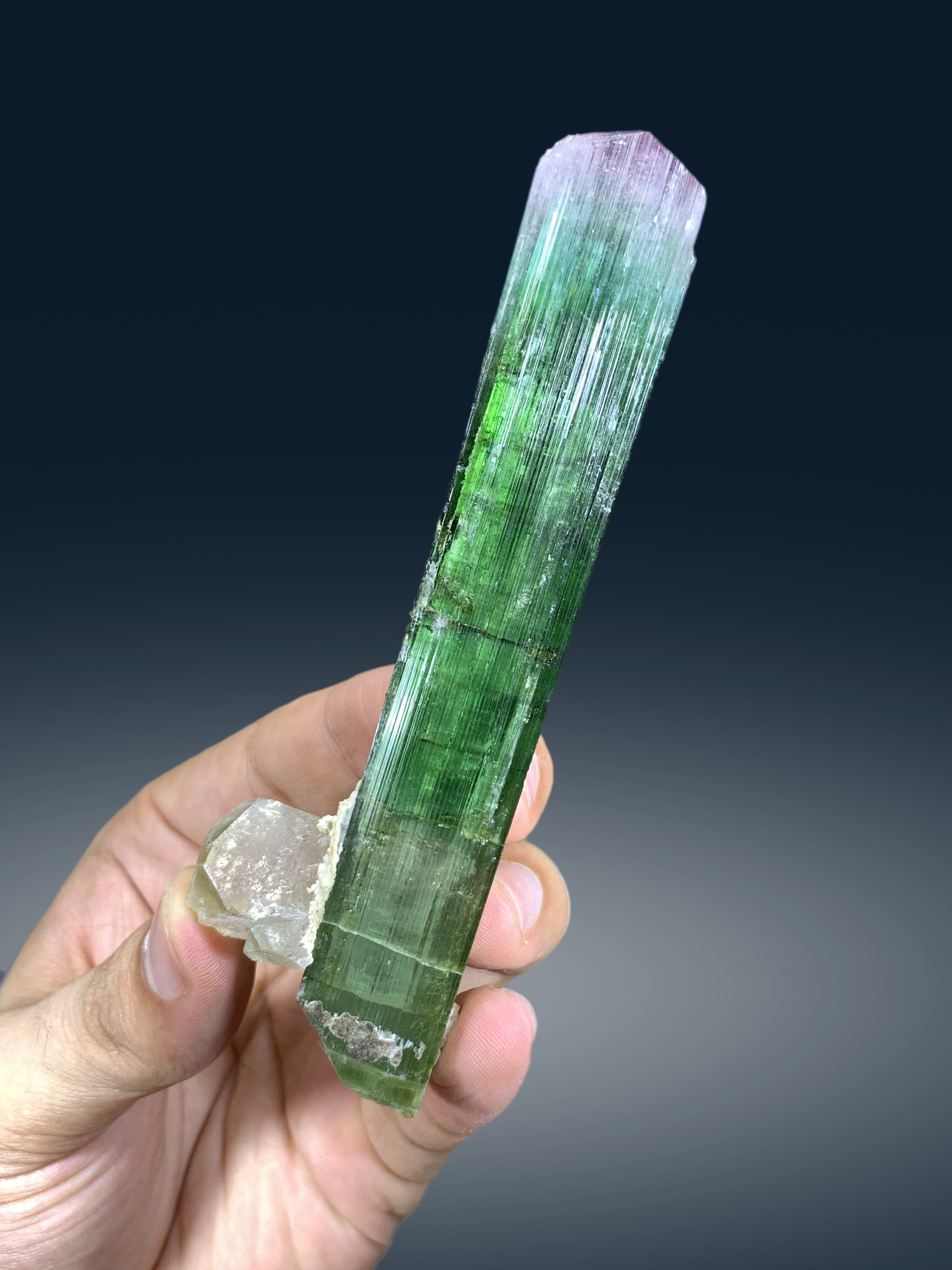Bicolor Tourmaline Crystal on Quartz from Paprok Afghanistan - 103 grams