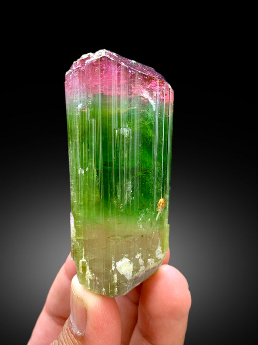 Reserved Stunning Bicolor Tourmaline Crystal from Paprok Afghanistan - 105 gram