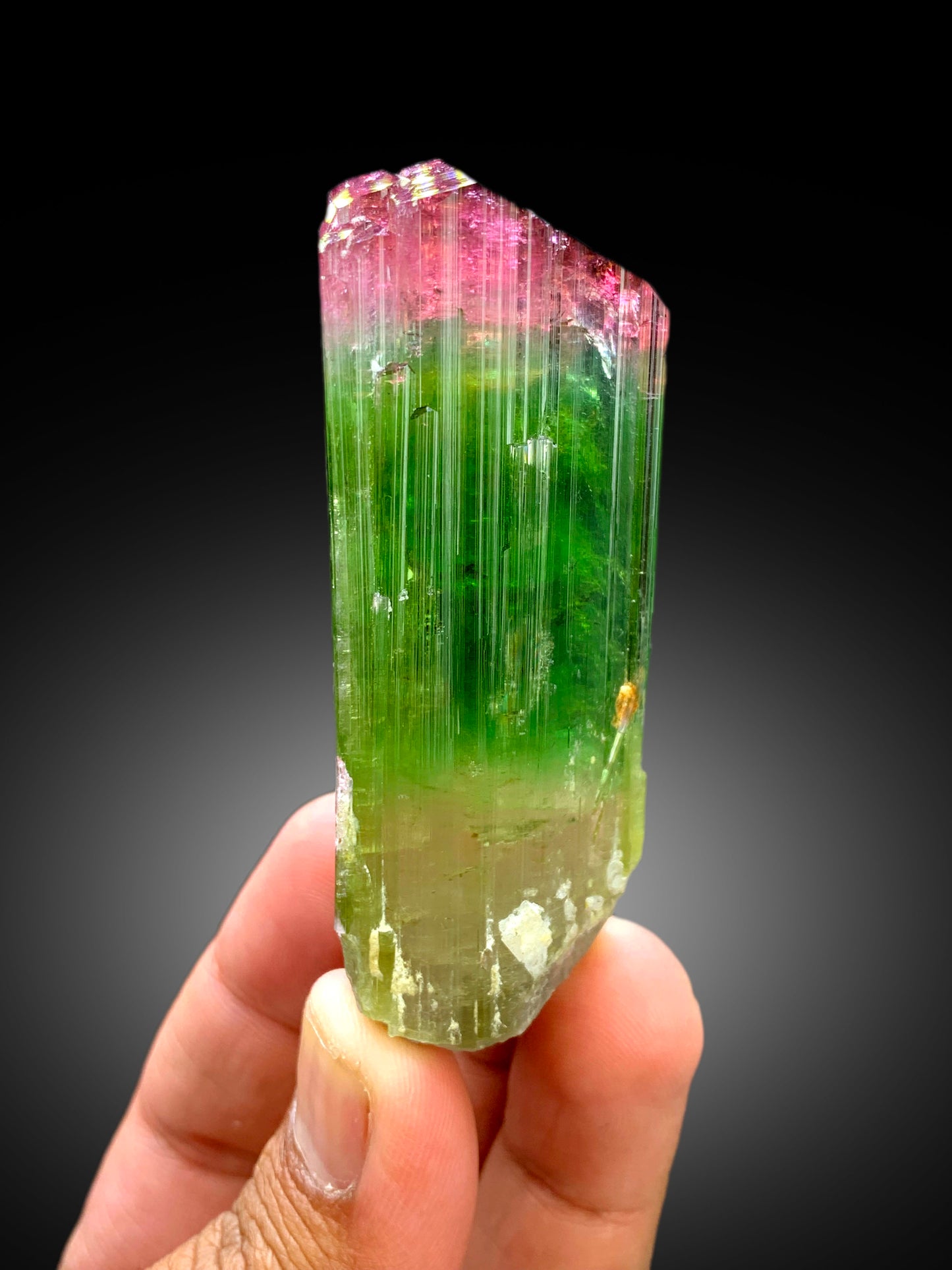 Reserved Stunning Bicolor Tourmaline Crystal from Paprok Afghanistan - 105 gram