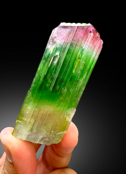Reserved Stunning Bicolor Tourmaline Crystal from Paprok Afghanistan - 105 gram