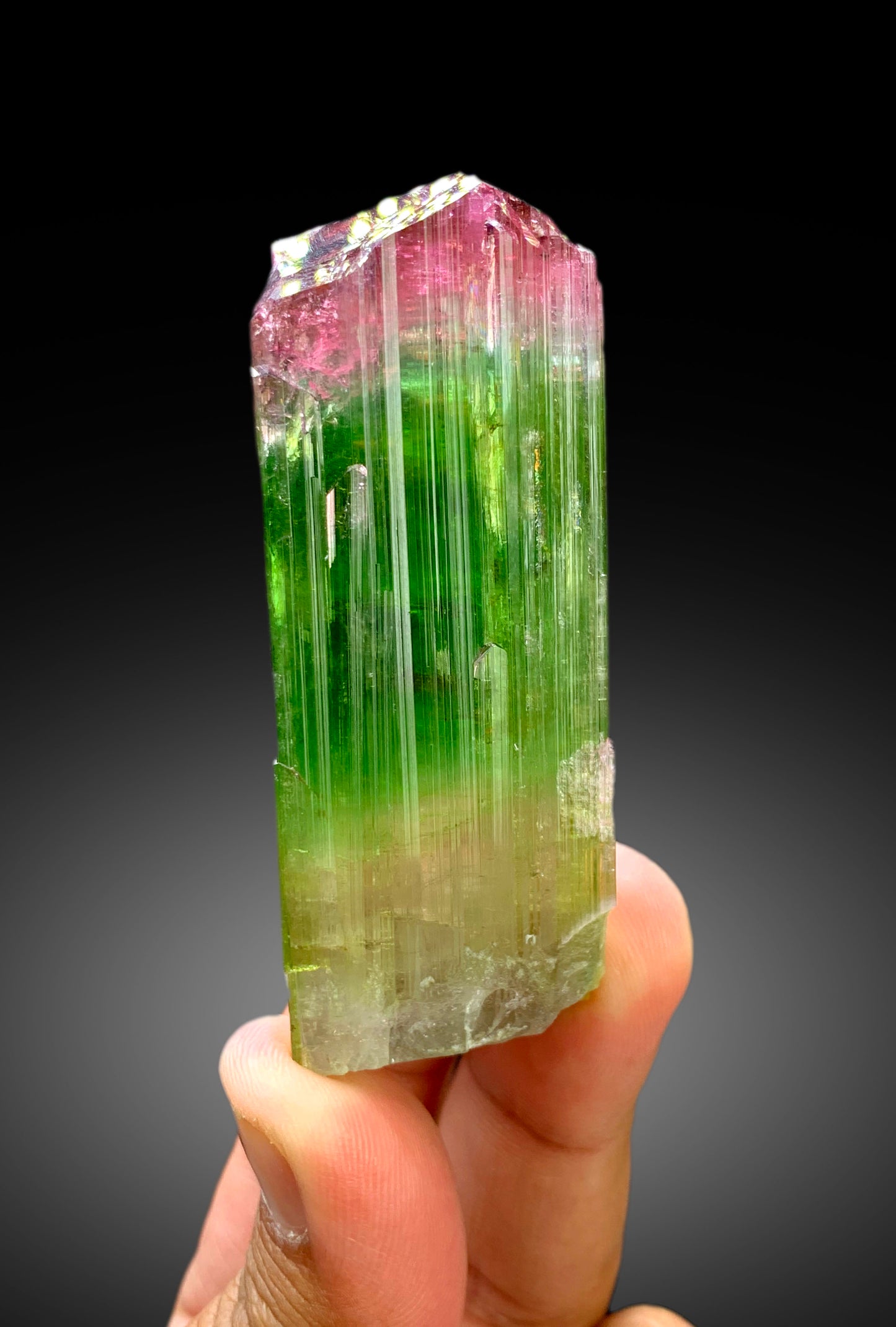 Reserved Stunning Bicolor Tourmaline Crystal from Paprok Afghanistan - 105 gram