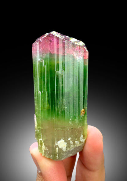 Reserved Stunning Bicolor Tourmaline Crystal from Paprok Afghanistan - 105 gram