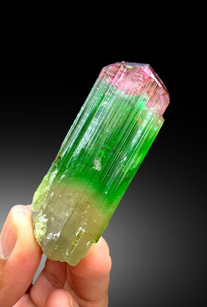 Reserved Stunning Bicolor Tourmaline Crystal from Paprok Afghanistan - 105 gram