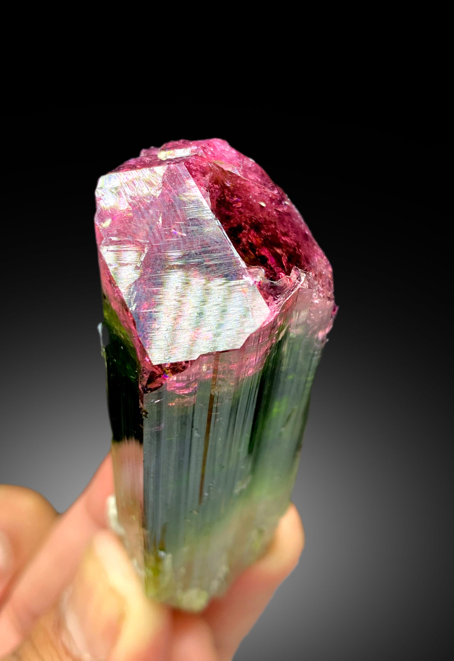 Reserved Stunning Bicolor Tourmaline Crystal from Paprok Afghanistan - 105 gram