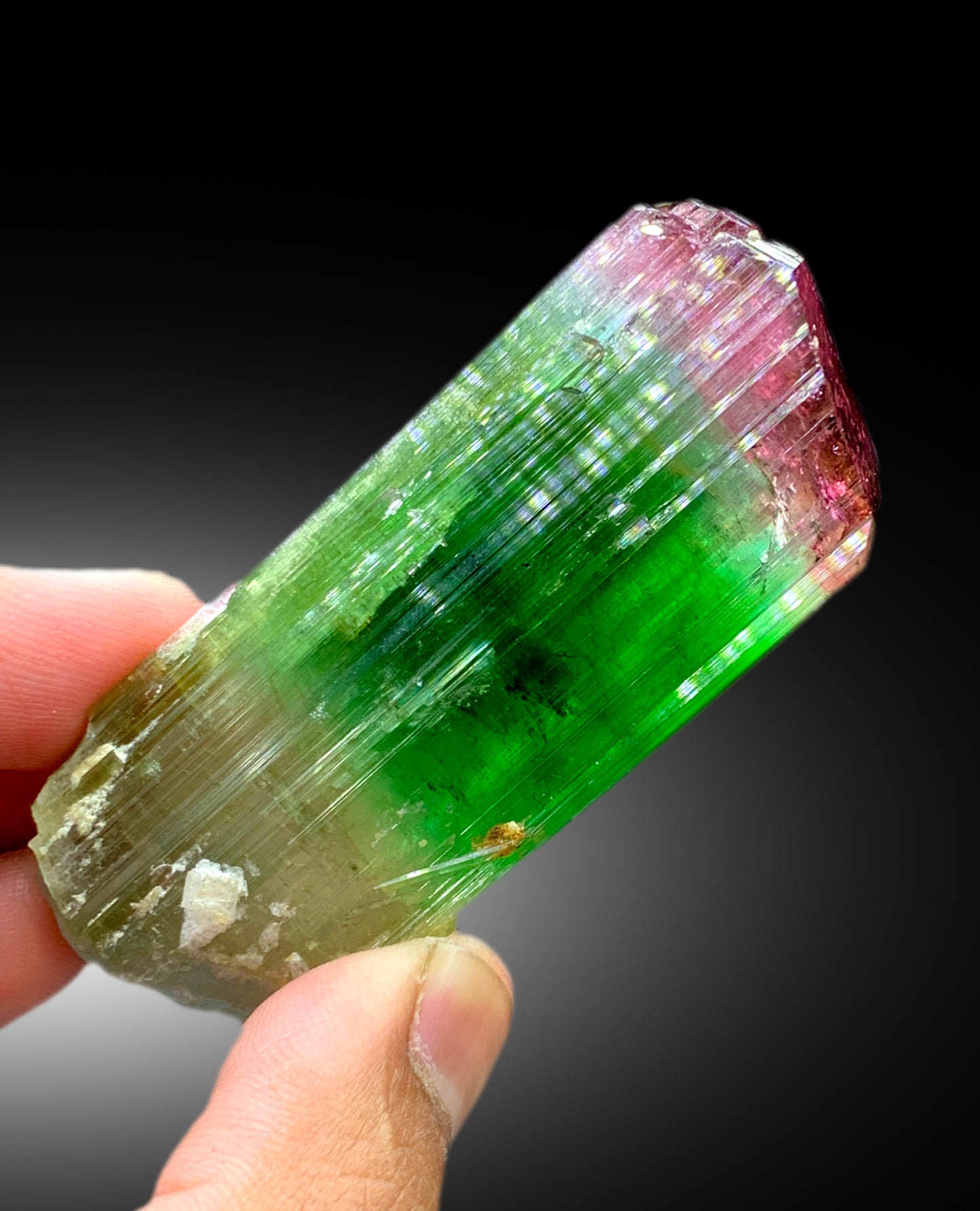 Reserved Stunning Bicolor Tourmaline Crystal from Paprok Afghanistan - 105 gram