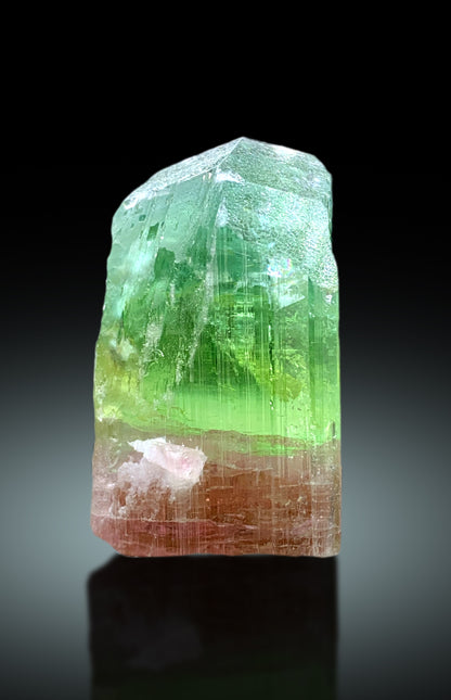 Stunning Bicolor Tourmaline Crystal from Paprok Afghanistan - 38 gram