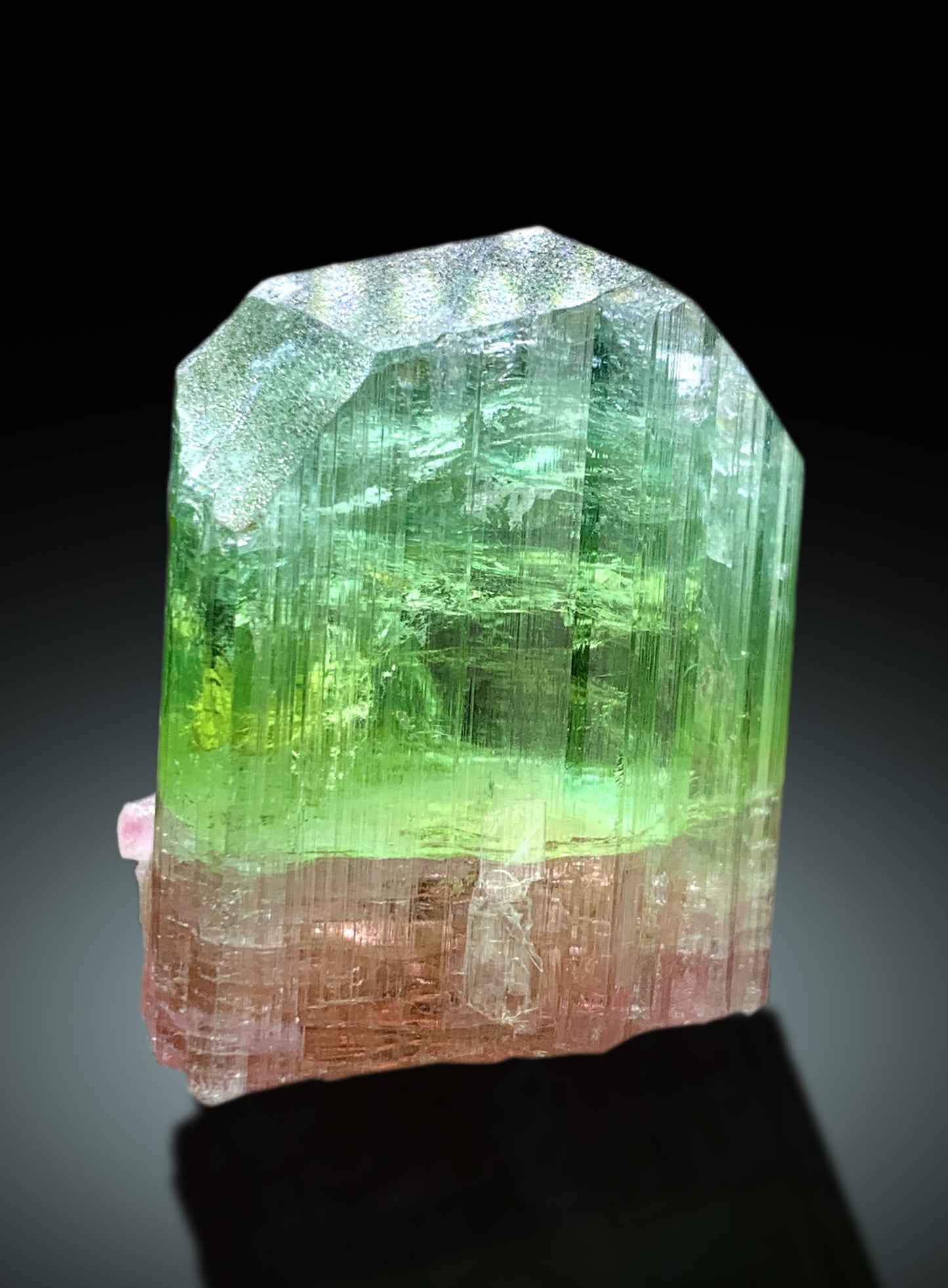 Stunning Bicolor Tourmaline Crystal from Paprok Afghanistan - 38 gram