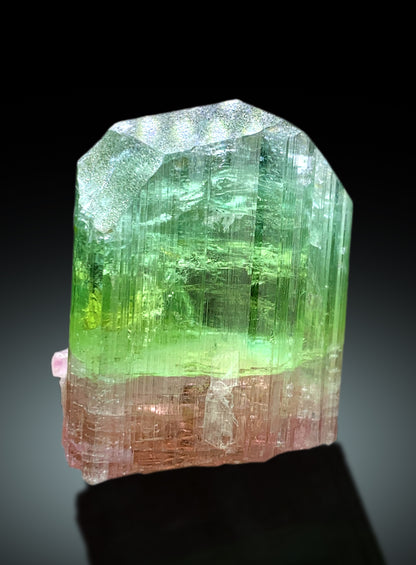 Stunning Bicolor Tourmaline Crystal from Paprok Afghanistan - 38 gram
