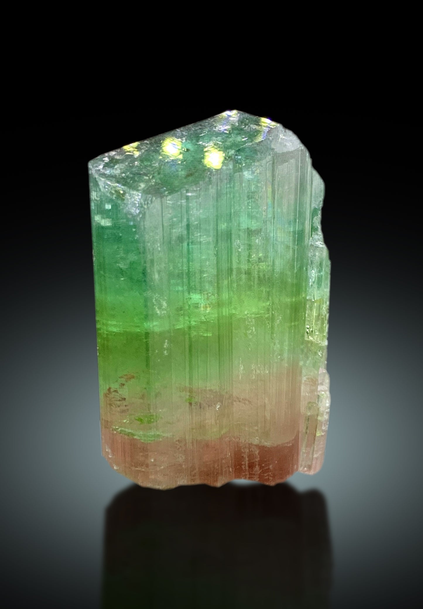Stunning Bicolor Tourmaline Crystal from Paprok Afghanistan - 38 gram