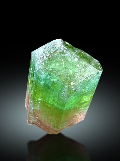 Stunning Bicolor Tourmaline Crystal from Paprok Afghanistan - 38 gram