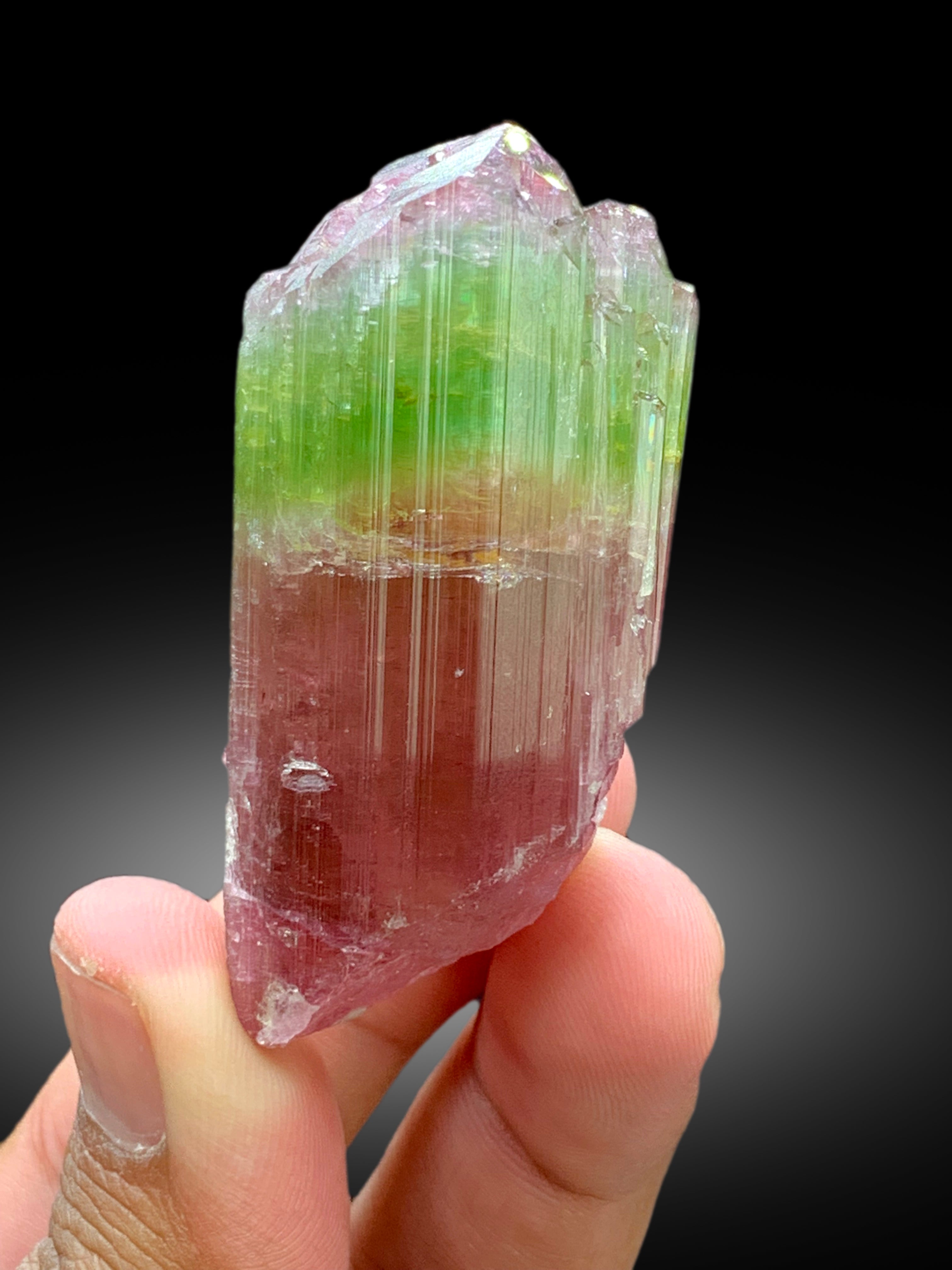 Natural Watermelon Tourmaline Crystal from Paprok Afghanistan - 83 gram