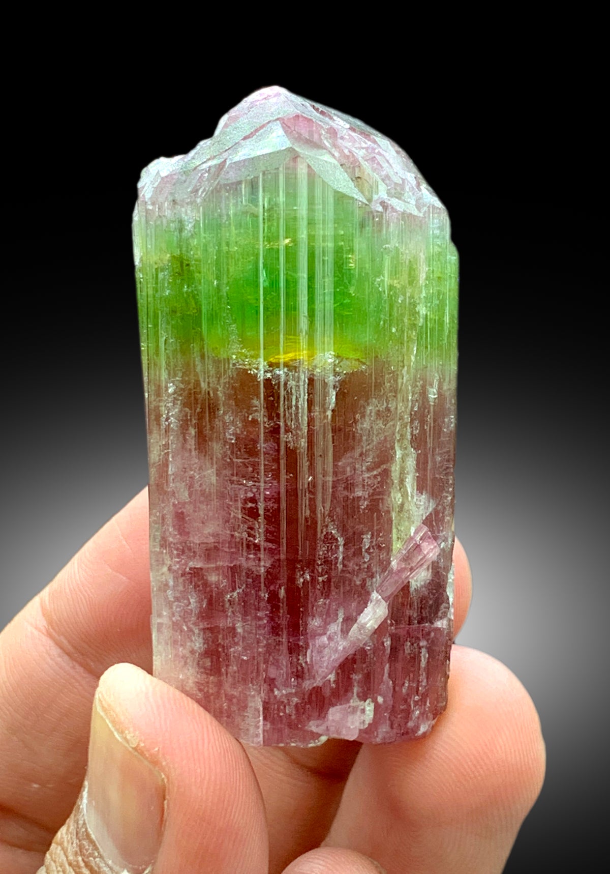 Natural Watermelon Tourmaline Crystal from Paprok Afghanistan - 83 gram