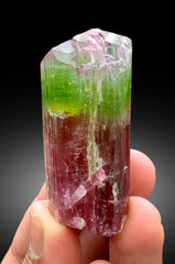 Natural Watermelon Tourmaline Crystal from Paprok Afghanistan - 83 gram