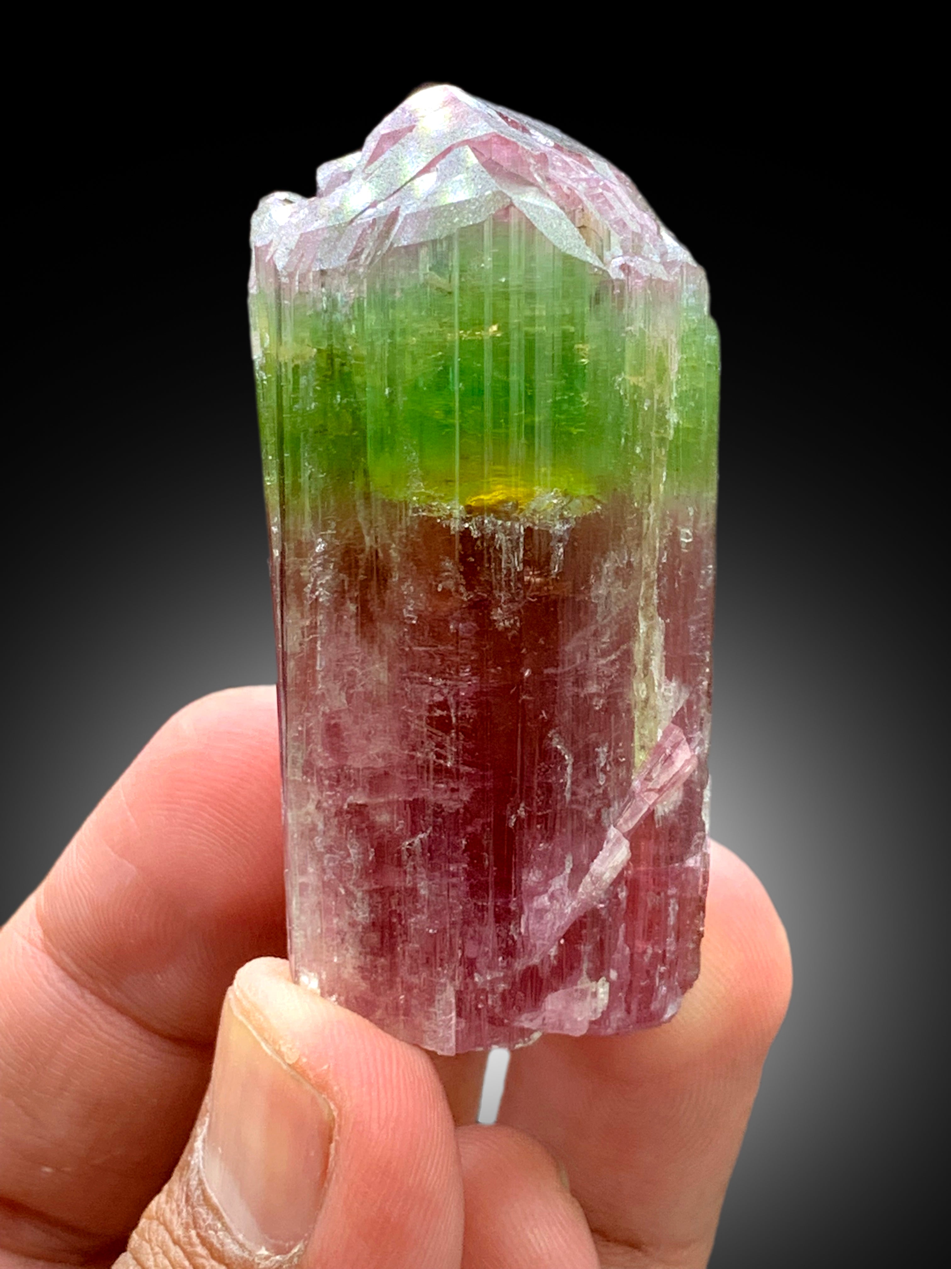 Natural Watermelon Tourmaline Crystal from Paprok Afghanistan - 83 gram