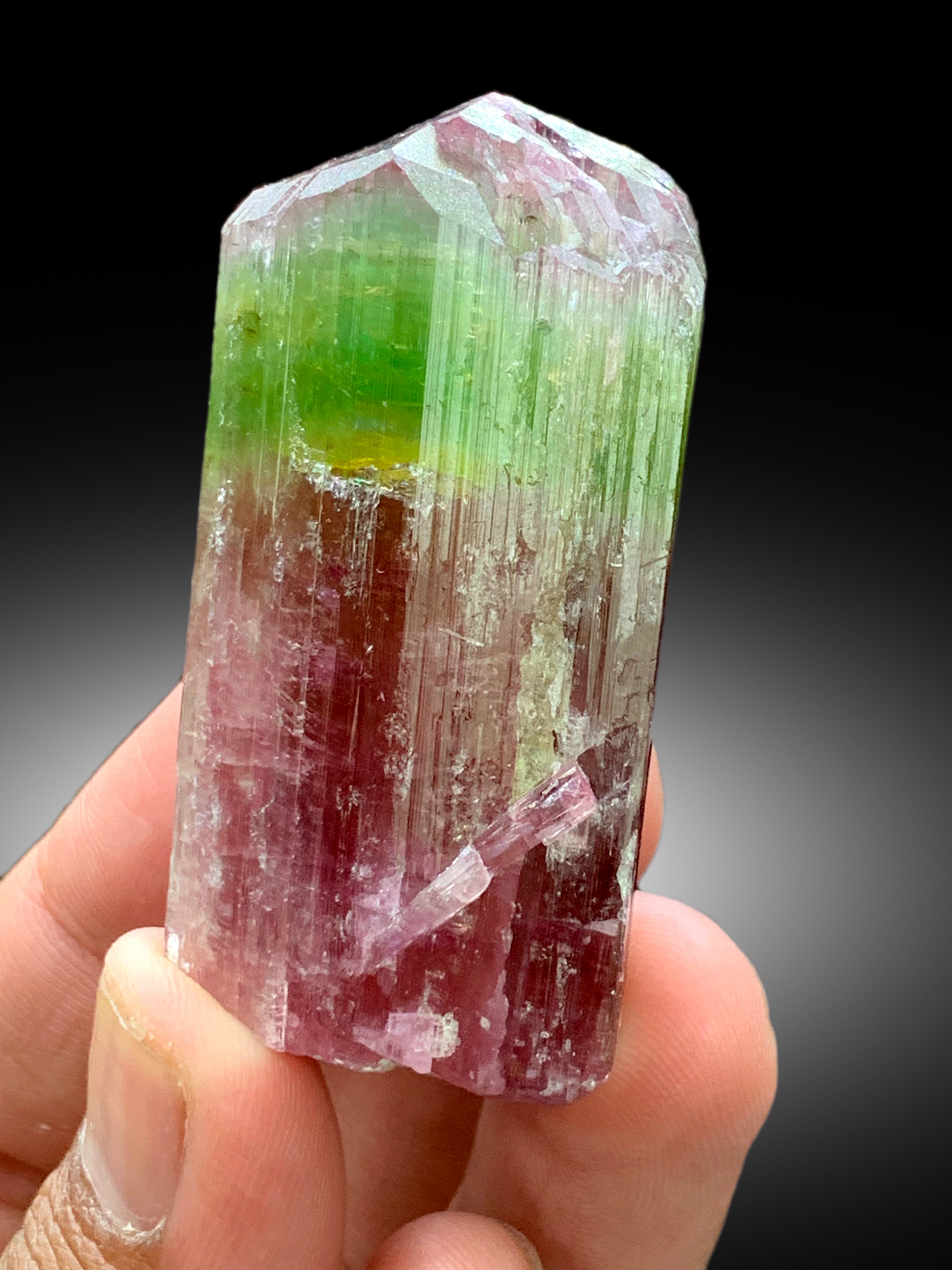 Natural Watermelon Tourmaline Crystal from Paprok Afghanistan - 83 gram