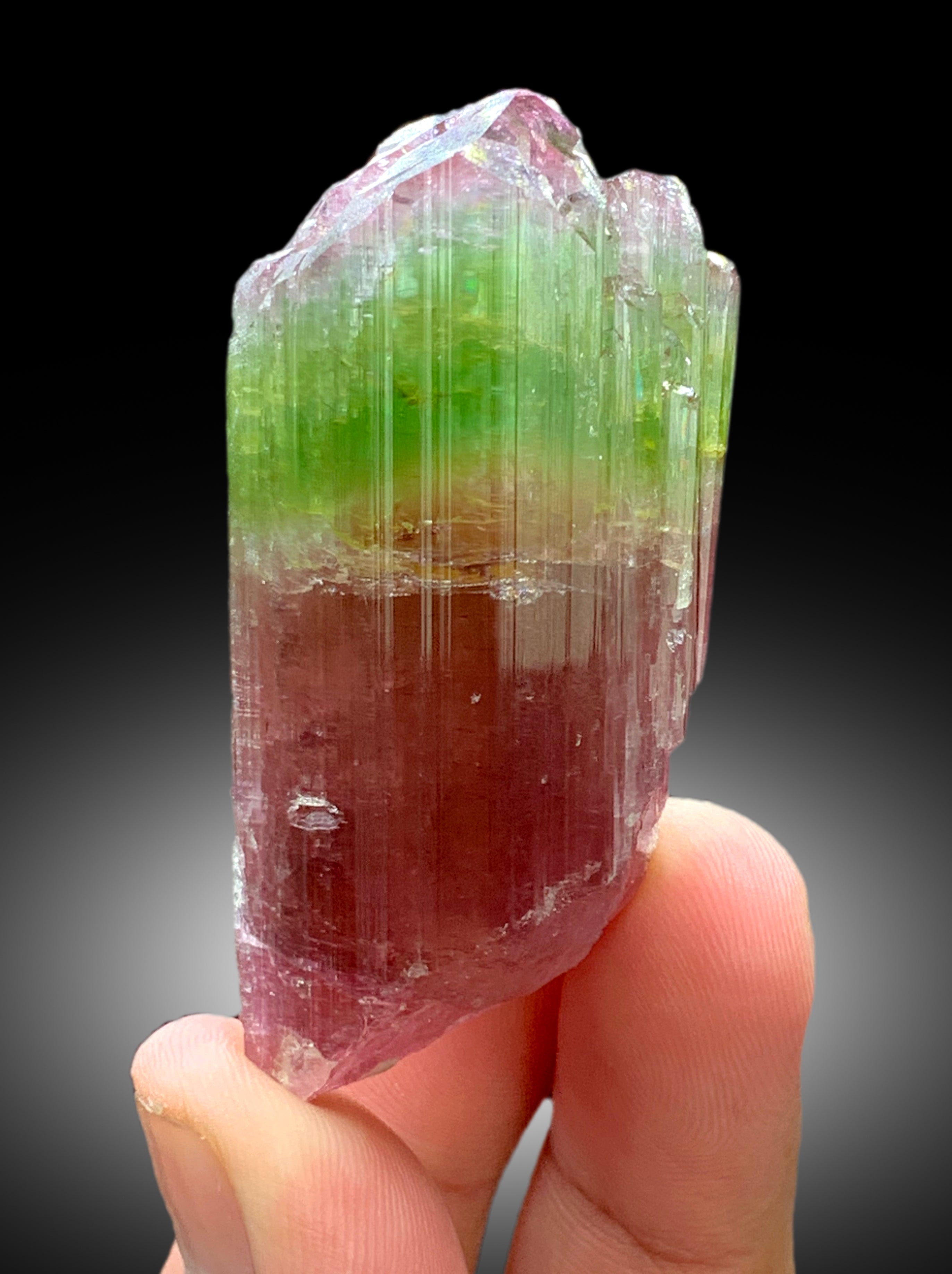 Natural Watermelon Tourmaline Crystal from Paprok Afghanistan - 83 gram