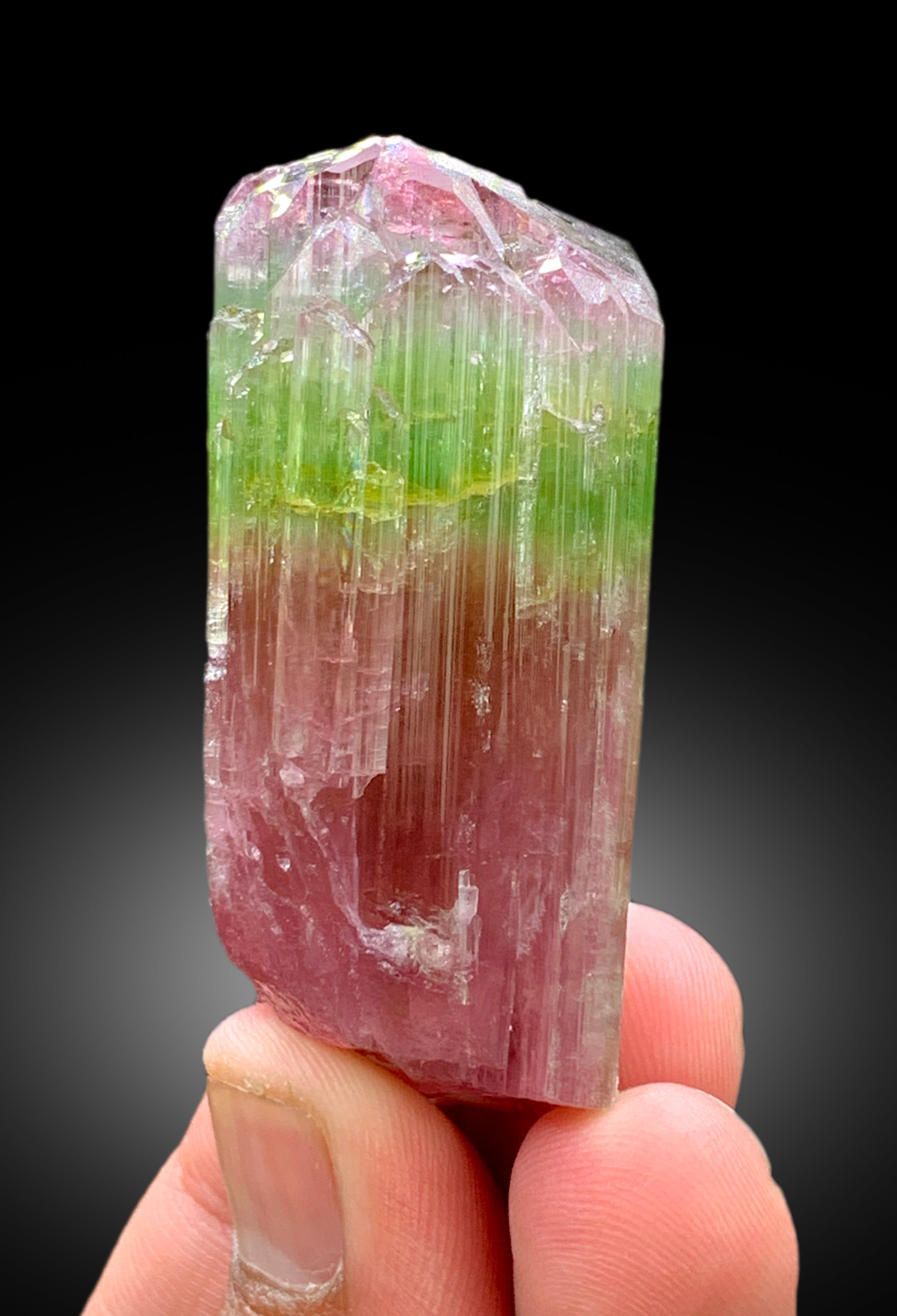 Natural Watermelon Tourmaline Crystal from Paprok Afghanistan - 83 gram