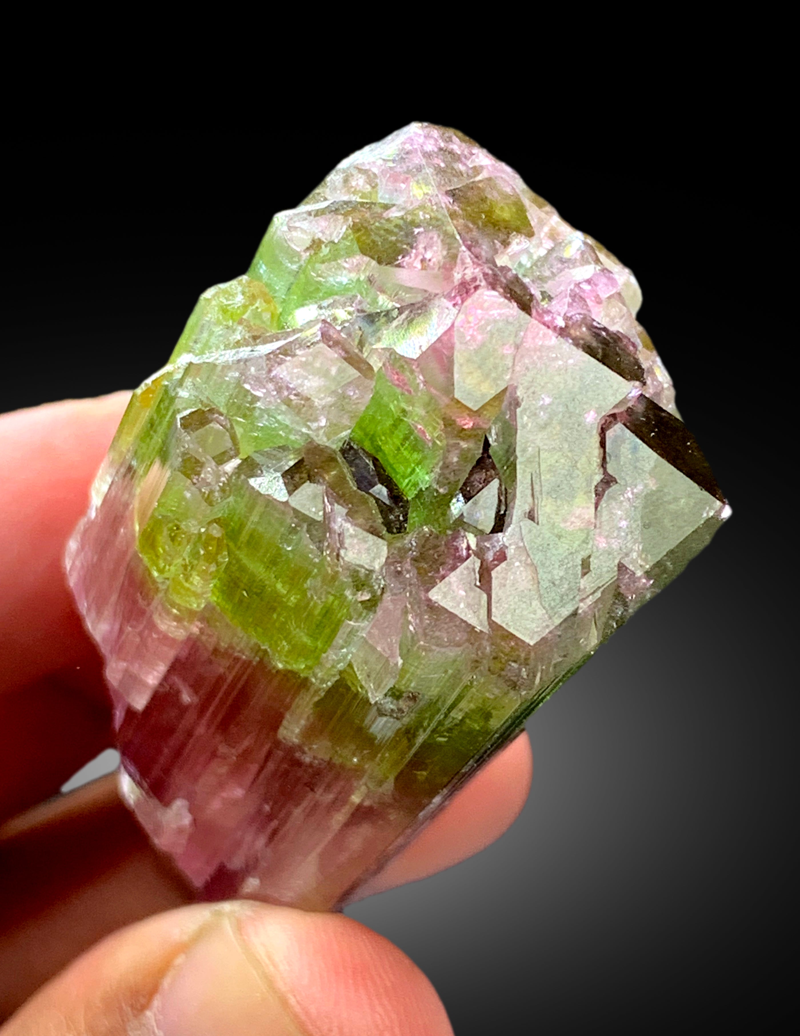 Natural Watermelon Tourmaline Crystal from Paprok Afghanistan - 83 gram