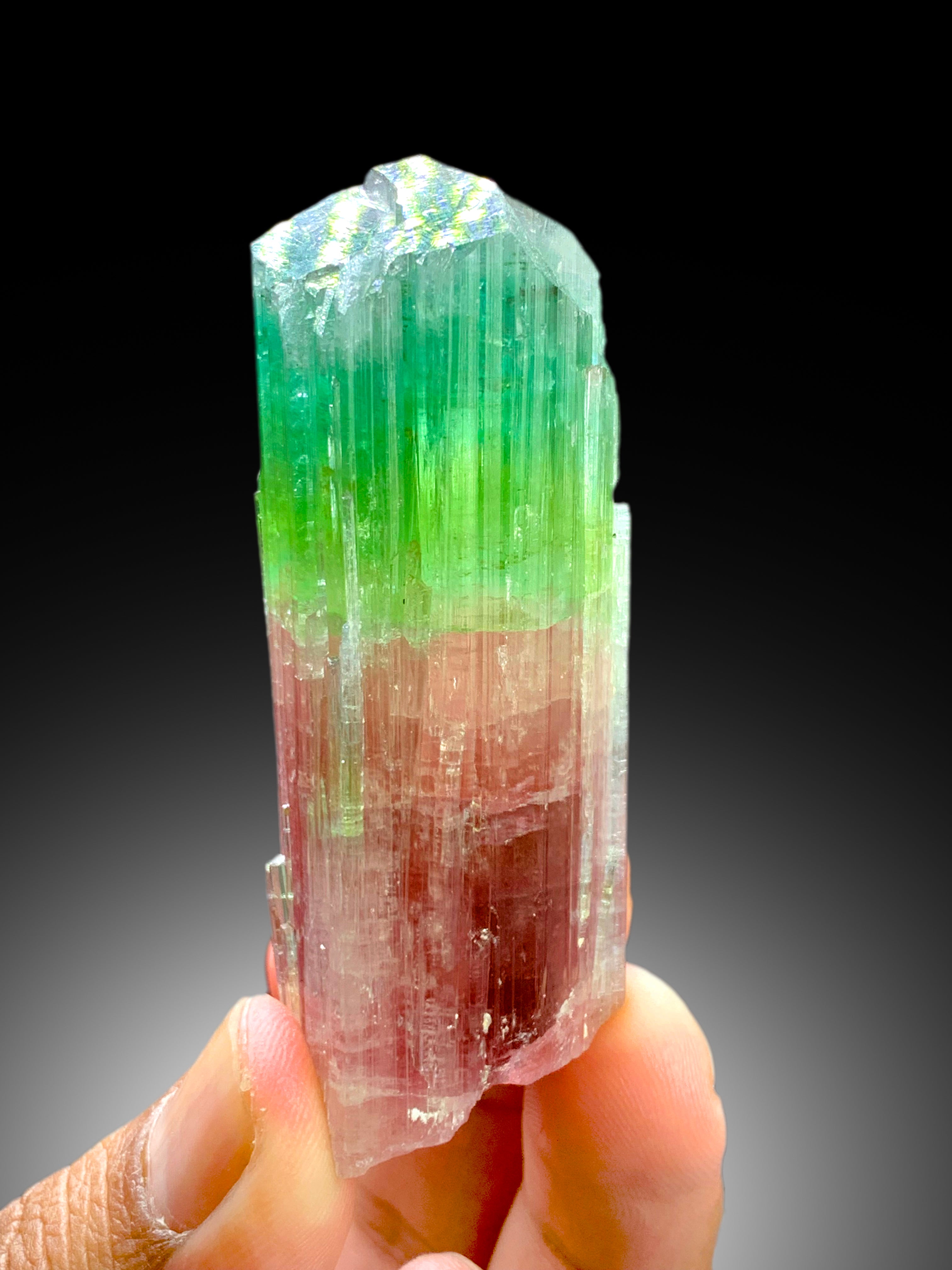 Stunning Tricolor Tourmaline Crystal from Paprok Afghanistan - 85 gram