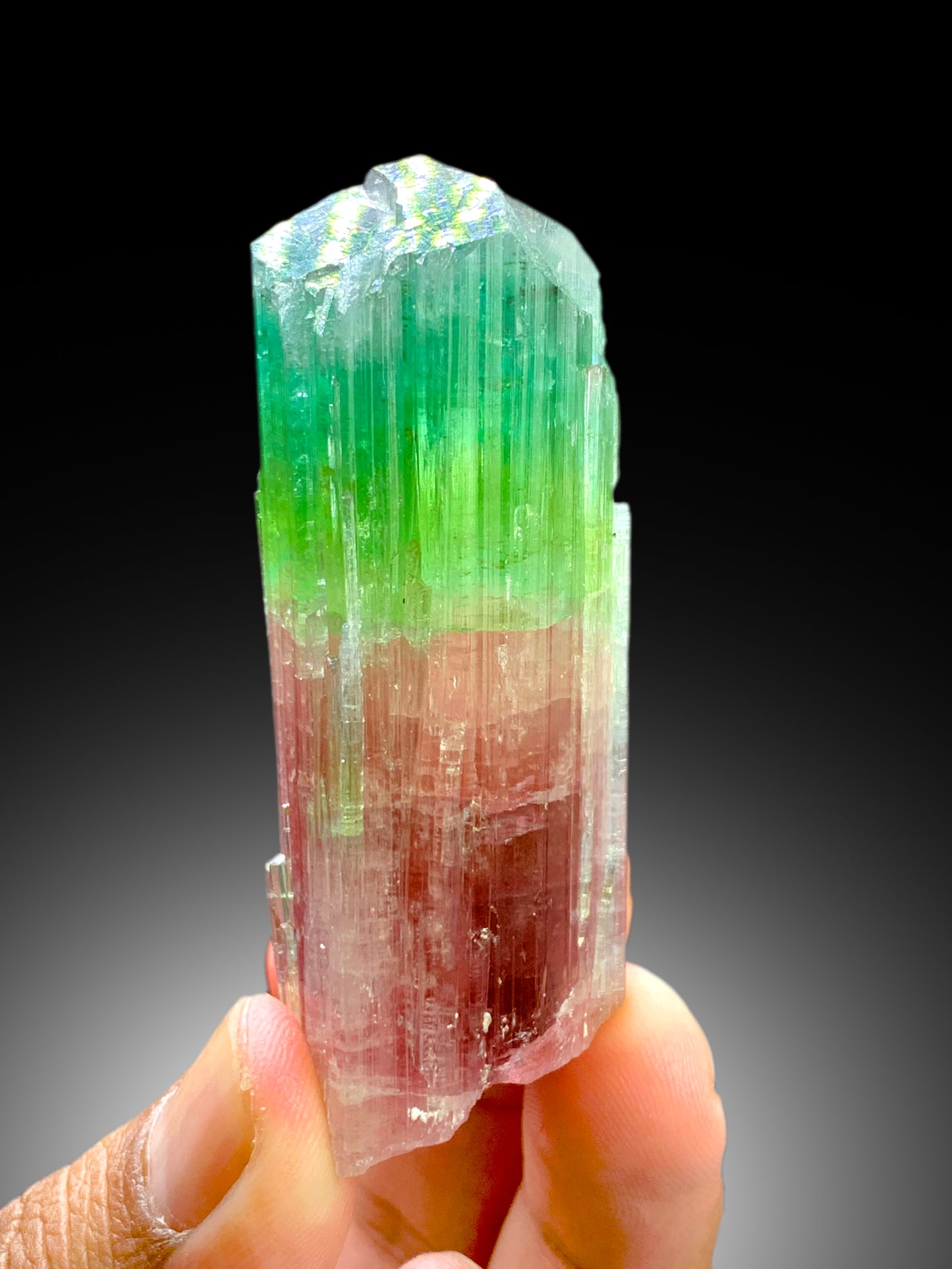 Multicolor Tourmaline Crystal from Paprok Afghanistan , 85 gram
