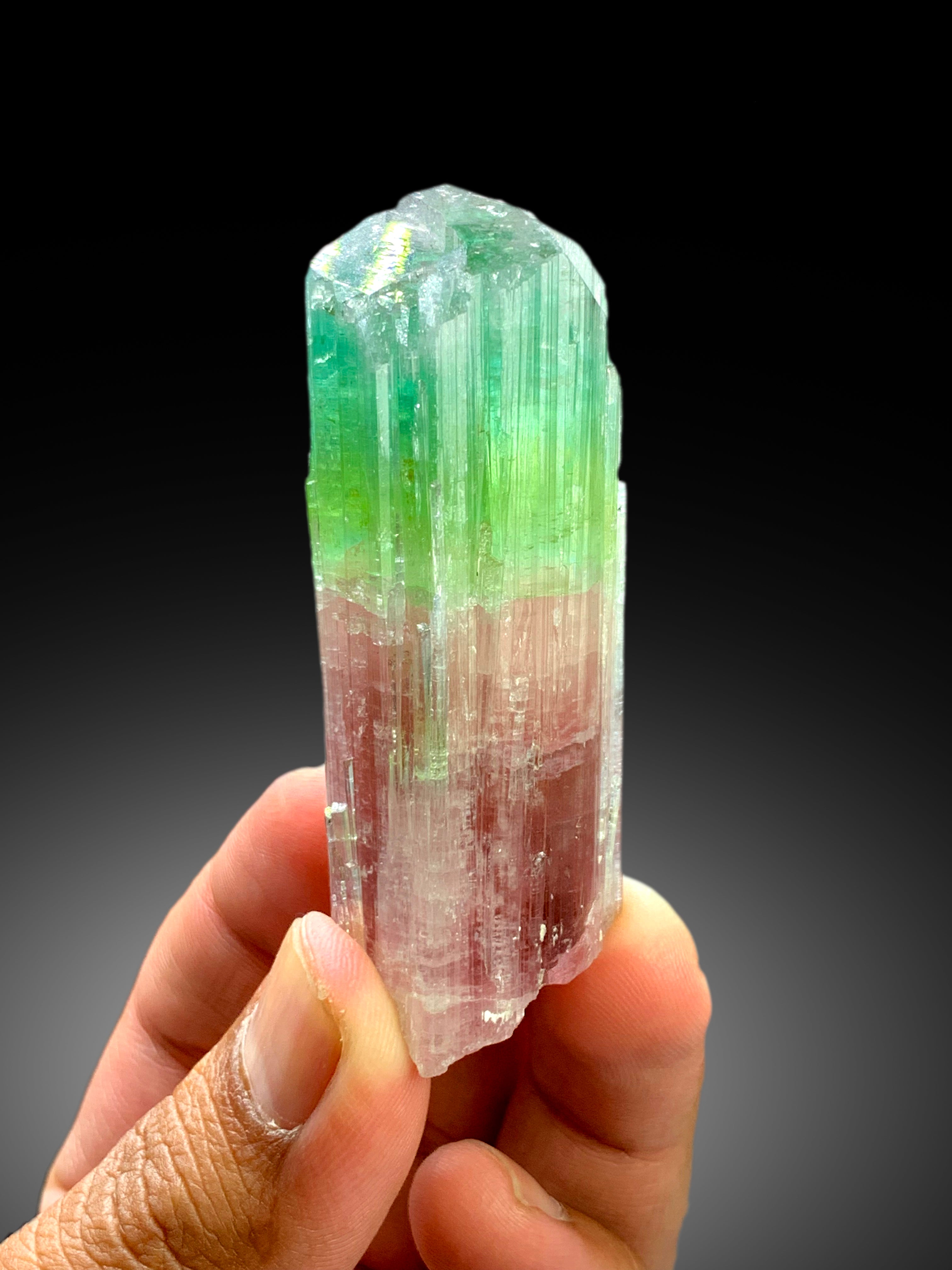 Stunning Tricolor Tourmaline Crystal from Paprok Afghanistan - 85 gram