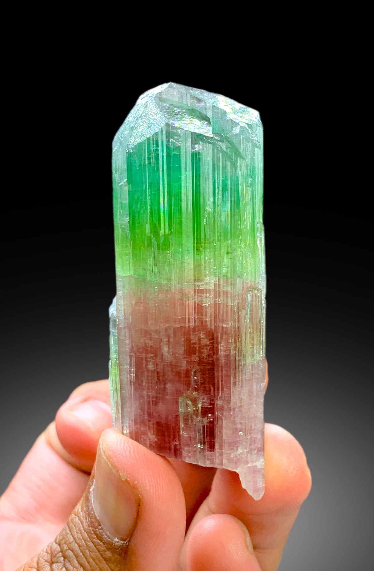 Stunning Tricolor Tourmaline Crystal from Paprok Afghanistan - 85 gram