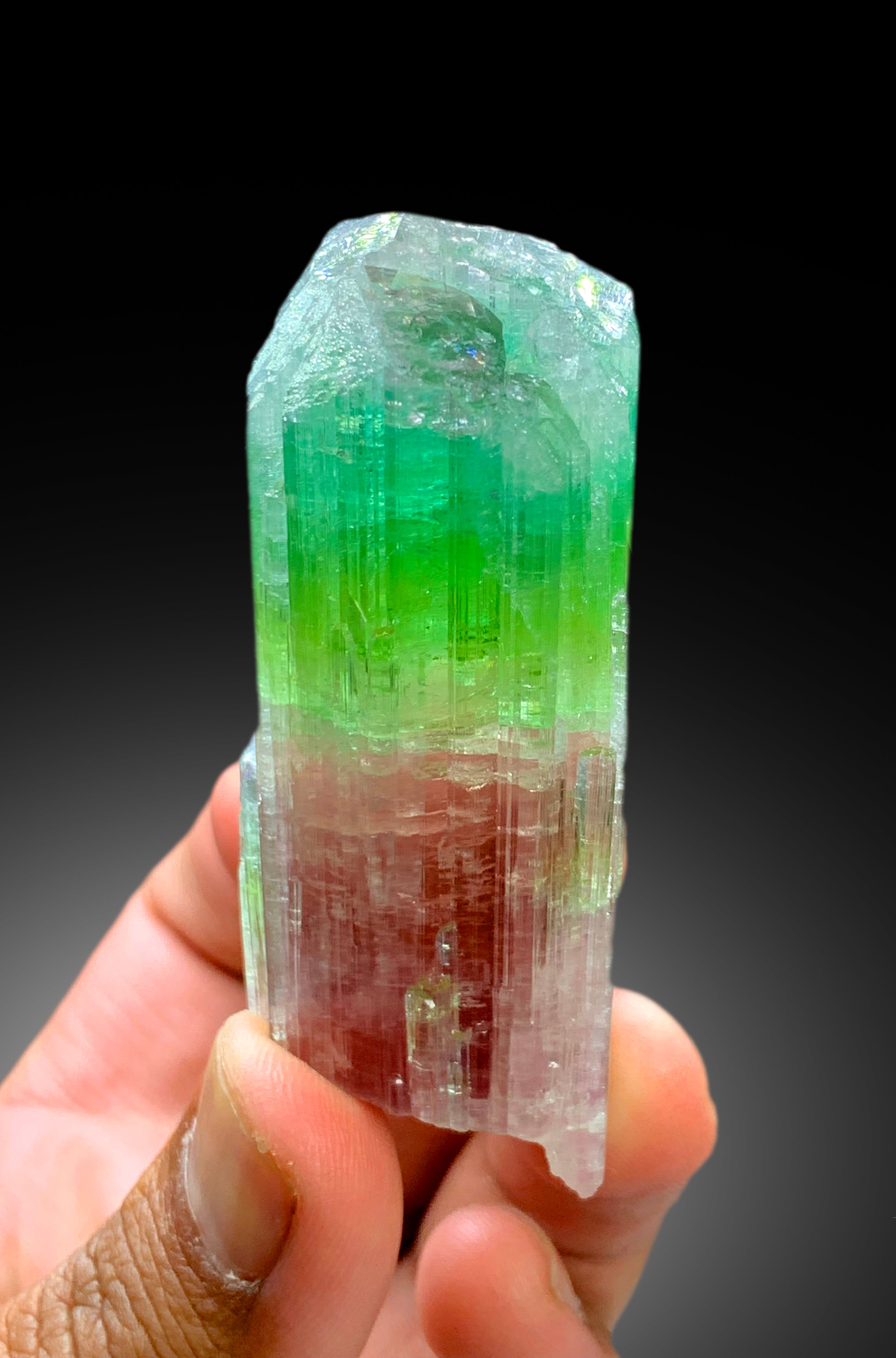 Stunning Tricolor Tourmaline Crystal from Paprok Afghanistan - 85 gram