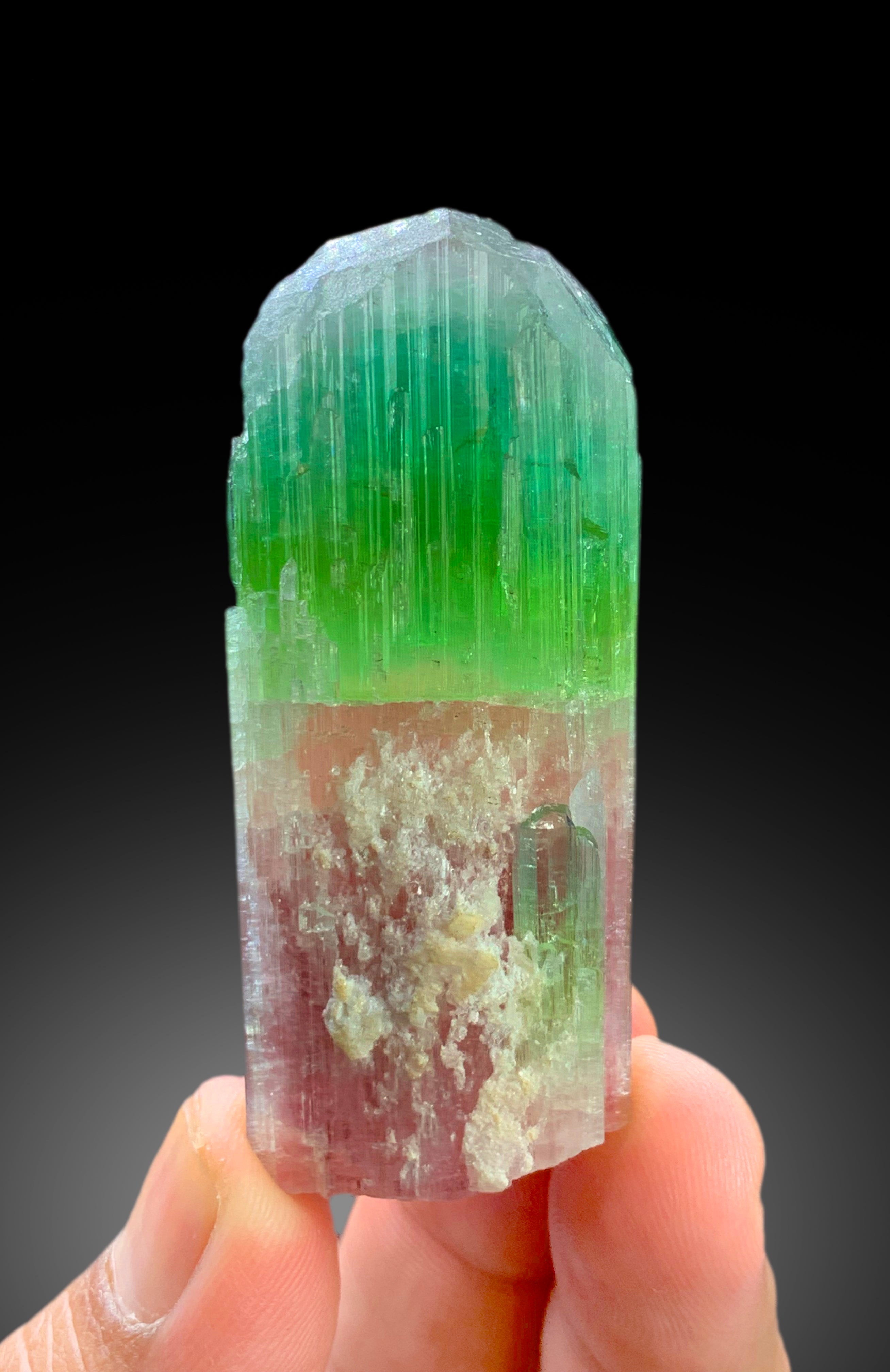 Stunning Tricolor Tourmaline Crystal from Paprok Afghanistan - 85 gram