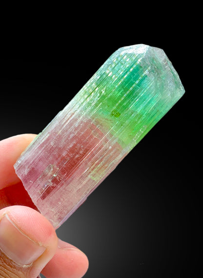 Multicolor Tourmaline Crystal from Paprok Afghanistan , 85 gram
