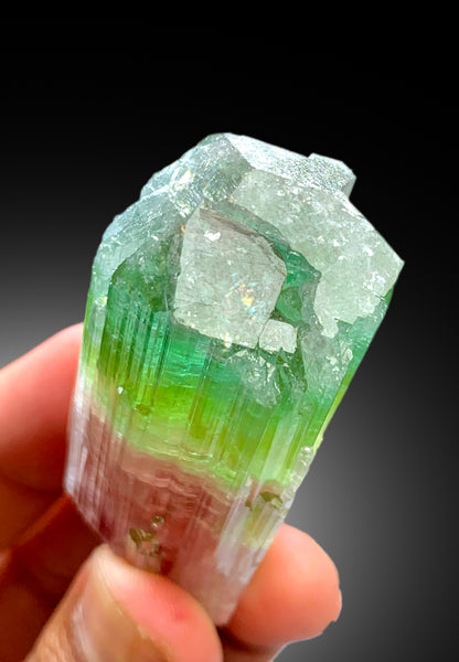 Multicolor Tourmaline Crystal from Paprok Afghanistan , 85 gram