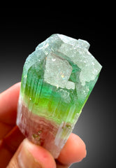 Stunning Tricolor Tourmaline Crystal from Paprok Afghanistan - 85 gram