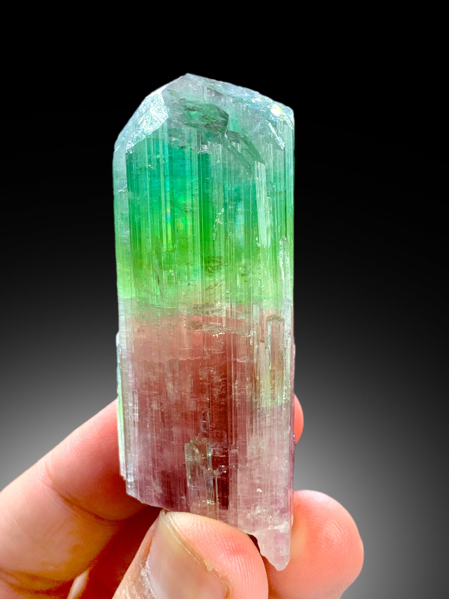 Multicolor Tourmaline Crystal from Paprok Afghanistan , 85 gram
