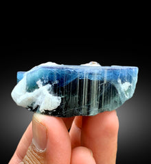 Natural Blue Cap Tourmaline Crystal with Tantalite and Cleavelandite Albite from Paprok Afghanistan - 71 gram