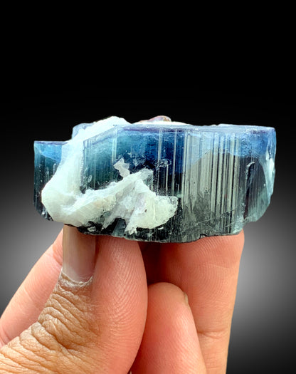 Natural Blue Cap Tourmaline Crystal with Tantalite and Cleavelandite Albite from Paprok Afghanistan - 71 gram