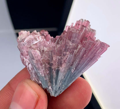 Bi-Color Cotton Candy Tourmaline Cluster From Afghanistan - 22 Grams