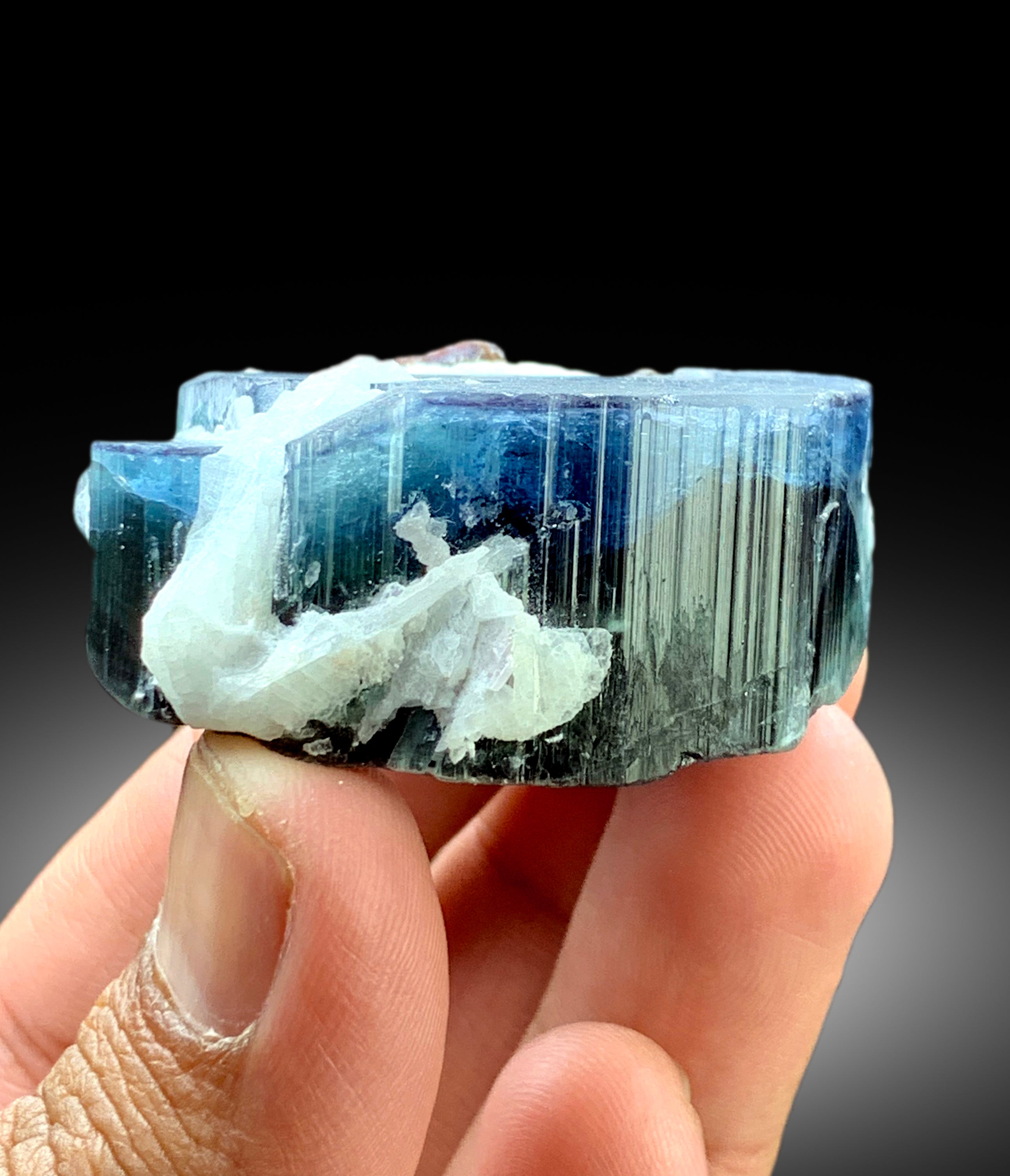 Natural Blue Cap Tourmaline Crystal with Tantalite and Cleavelandite Albite from Paprok Afghanistan - 71 gram