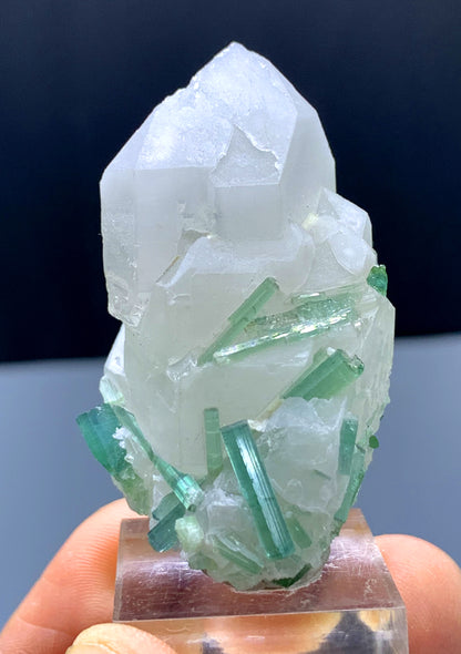 Green Tourmaline Crystals on Quartz from Afghanistan - 36 gram