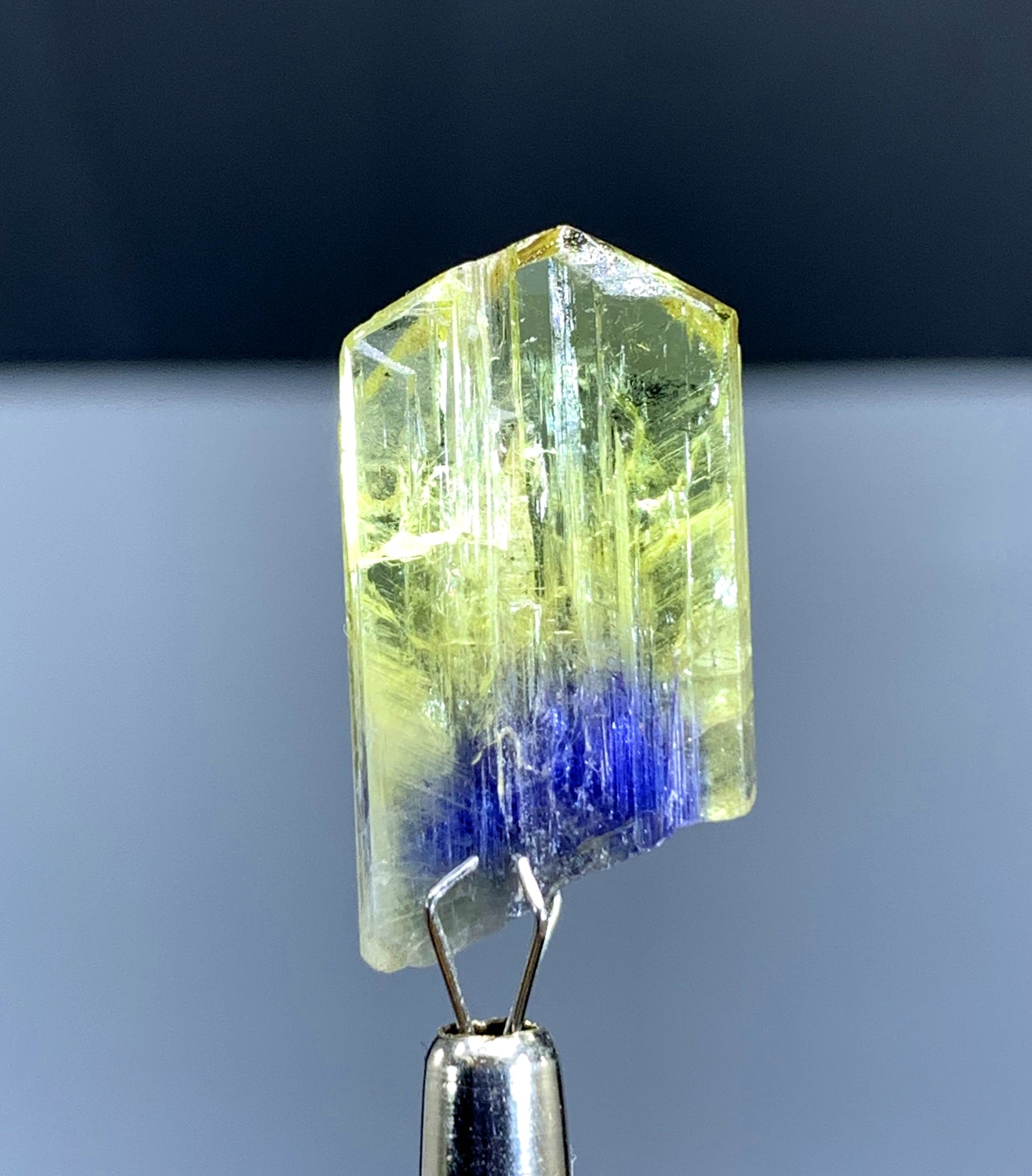 Natural Bicolor Tanzanite Crystal from Tanzania - 18.75 cts
