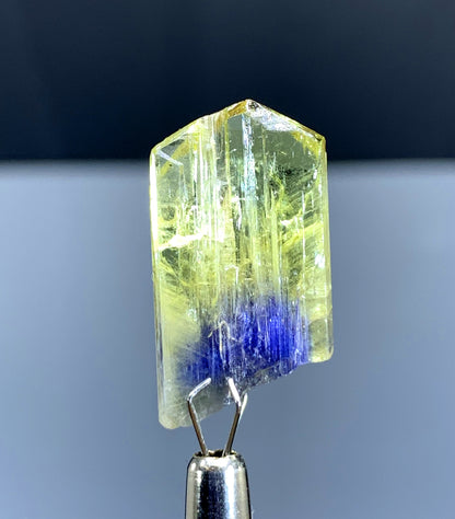 Natural Bicolor Tanzanite Crystal from Tanzania - 18.75 cts