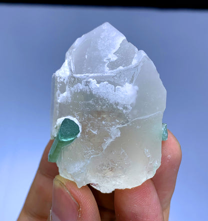 Bluish Green Tourmaline Crystal on Quartz from Afghanistan - 68 gram