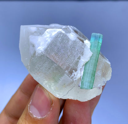 Bluish Green Tourmaline Crystal on Quartz from Afghanistan - 68 gram