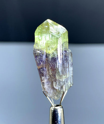 Natural Bicolor Tanzanite Crystal from Tanzania - 22.90 cts