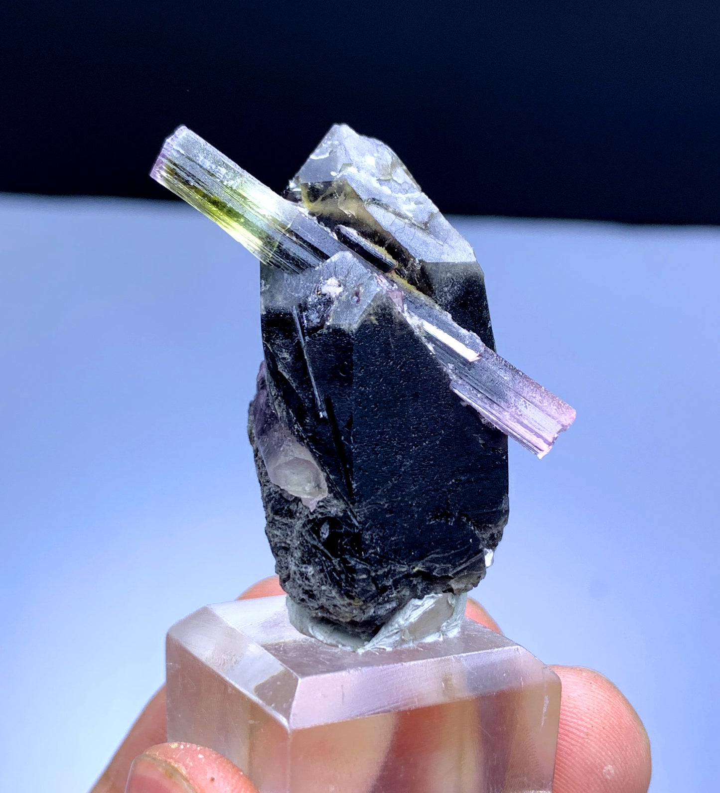 Cotton Candy Bicolor Tourmaline on Smoky Quartz from Afghanistan - 28 gram