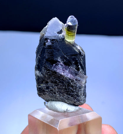 Cotton Candy Bicolor Tourmaline on Smoky Quartz from Afghanistan - 28 gram