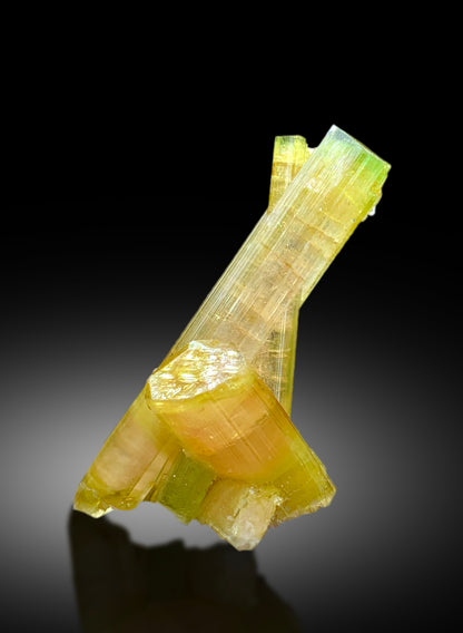 Natural Watermelon Tourmaline Crystal from Paprok Afghanistan - 15 gram
