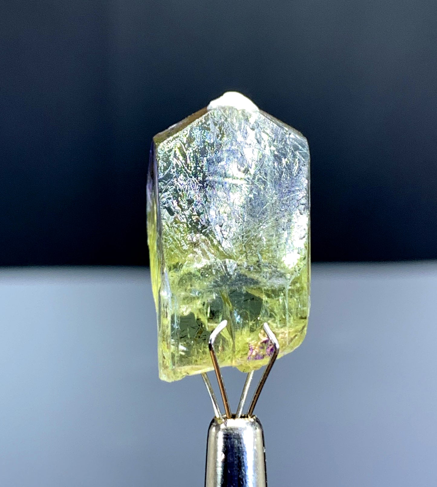 Natural Bicolor Tanzanite Crystal from Tanzania - 35.55 cts