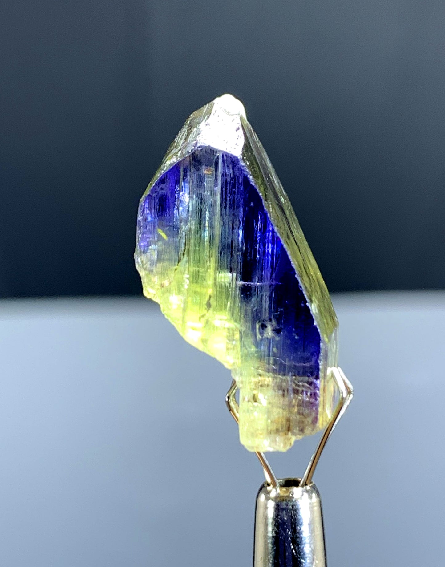 Natural Bicolor Tanzanite Crystal from Tanzania - 35.55 cts