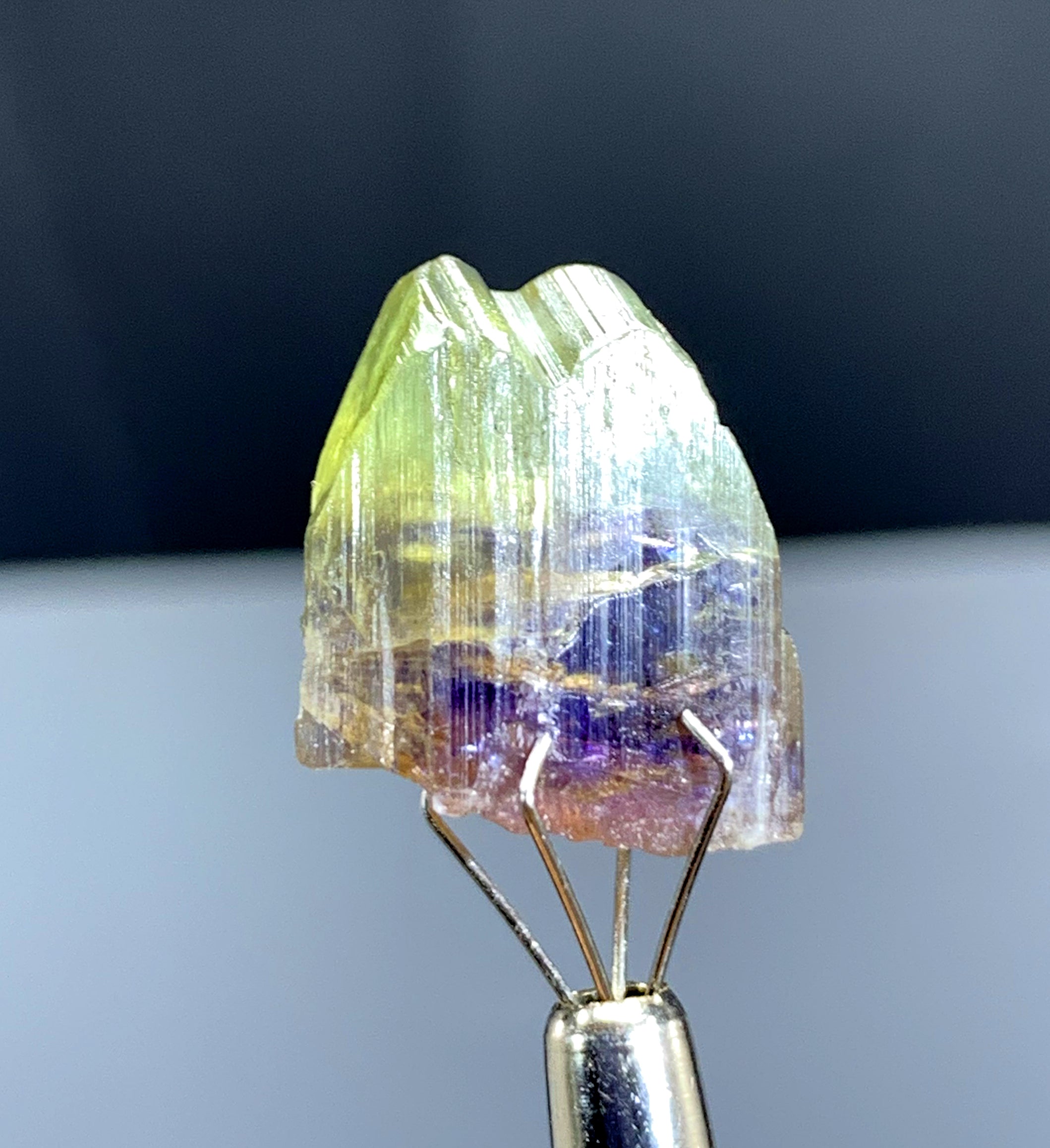 Natural Bicolor Tanzanite Crystal from Tanzania - 25.16 cts
