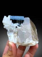 Natural Blue Cap Tourmaline Crystal with Smoky Quartz and Cleavelandite Albite from Paprok Afghanistan - 387 gram